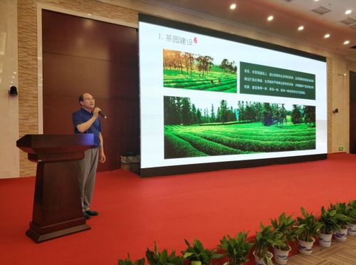 江茶集團以茶為媒盛裝亮相 南昌茶博會